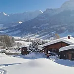 Cozy Swiss Mountain * Nesslau