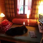 Cozy Swiss Mountain *