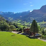 Cozy Swiss Mountain * Nesslau
