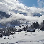 Cozy Swiss Mountain * Nesslau