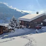 Cozy Swiss Mountain Daire *