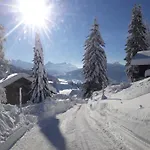 Cozy Swiss Mountain Daire *