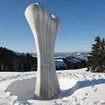 Daire Cozy Swiss Mountain
