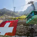 Cozy Swiss Mountain