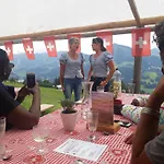 Daire Cozy Swiss Mountain Nesslau
