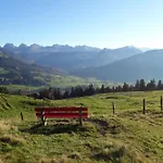 Cozy Swiss Mountain