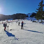 Cozy Swiss Mountain Nesslau