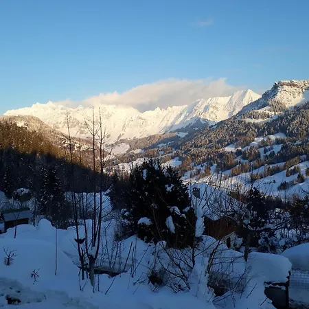 Saentis Chalet Chnorz Apartment