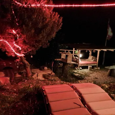 Apartment Saentis Chalet Chnorz Apartment *