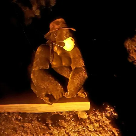 Saentis Chalet Chnorz Apartment * Nesslau