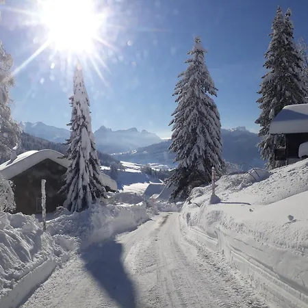 Saentis Chalet Chnorz Apartment Apartment *