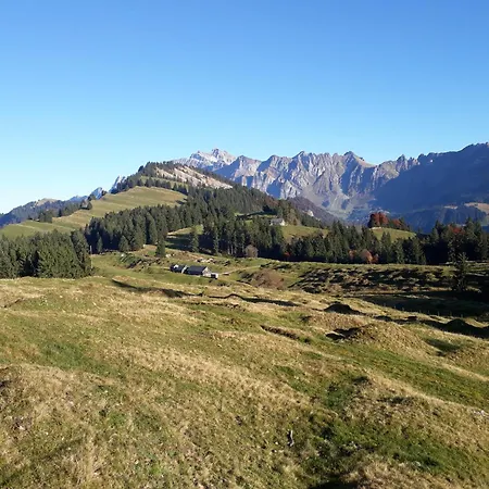 Saentis Chalet Chnorz Apartment Apartment *