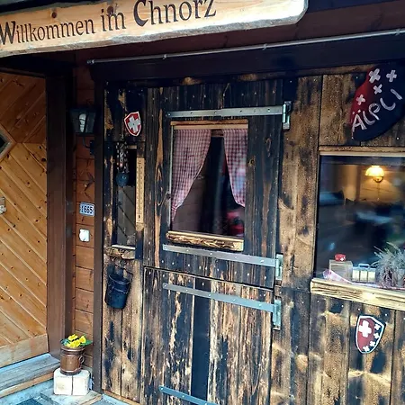 Cozy Swiss Mountain *