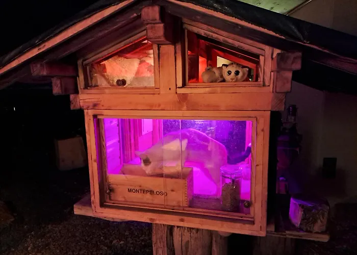 Apartament Saentis Chalet Chnorz Apartment Nesslau