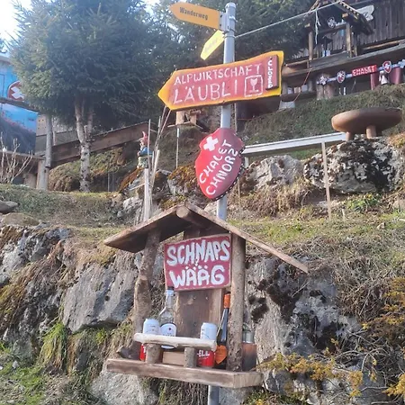 Saentis Chalet Chnorz Apartment Apartmán