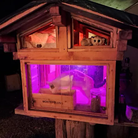 Apartmán Saentis Chalet Chnorz Apartment Nesslau